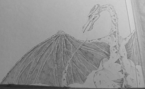 dragon3