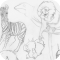 savane2