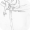 singe rigolant