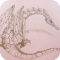 dragon2