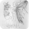 fée souris